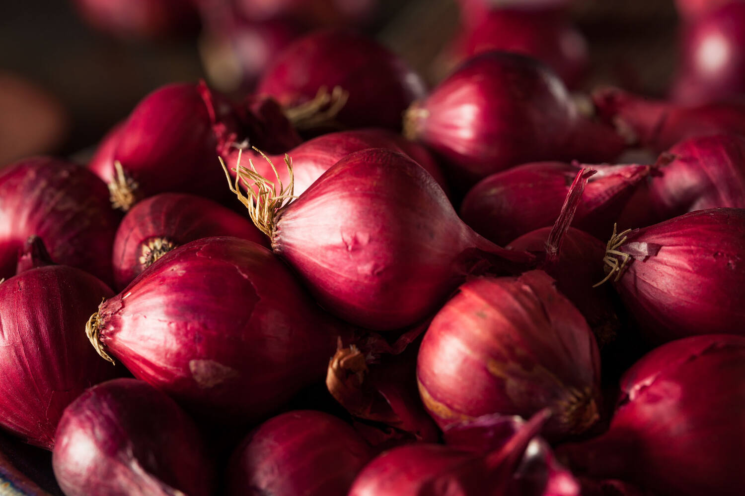 Zilveruien rood verpakt 500gr stuk 2